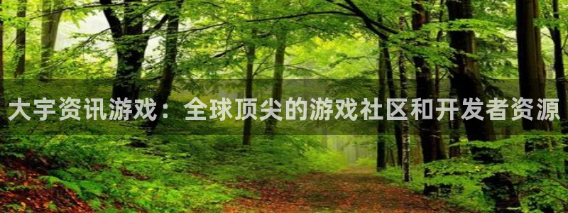 辉达娱乐测速：大宇资讯游戏：全球顶尖的游戏社区和开发者资源
