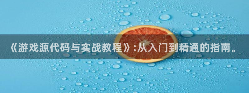 辉达娱乐app下载：《游戏源代码与实战教程》:从入门到精通的