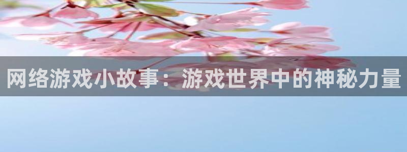 辉达娱乐集团：网络游戏小故事：游戏世界中的神秘力量