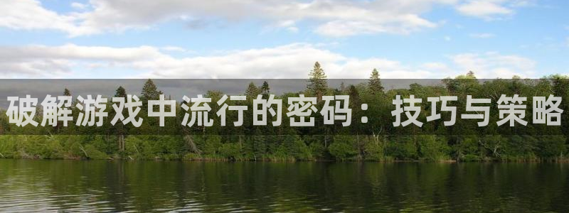 辉达娱乐是什么：破解游戏中流行的密码：技巧与策略