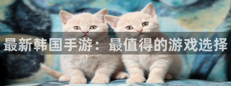 辉达娱乐官方平台：最新韩国手游：最值得的游戏选择