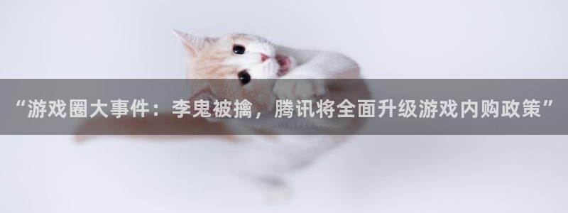 辉达娱乐官网登录：“游戏圈大事件：李鬼被擒，腾讯将全面升级游