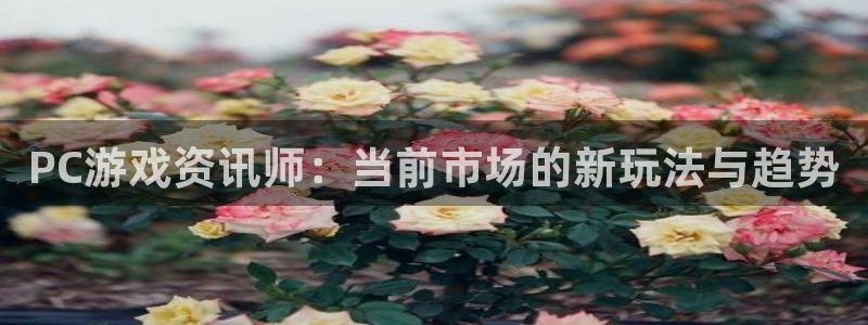 辉达娱乐注册官方登录app：PC游戏资讯师：当前市场的新玩法